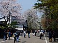 角館の武家屋敷通（秋田県仙北市）