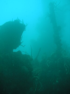 Wrack in der Coron-Bucht