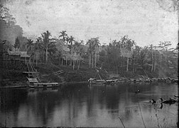 Pemandangan desa Tumbang Anoi dari sungai Kahayan di desa Dayak Tumbang Anoi, Kalimantan Tengah. (Mei–Juli 1894)