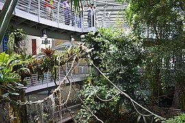 California Academy of Sciences