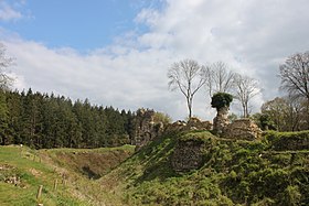 Image illustrative de l’article Forêt de Montfort