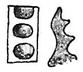 Die Gartenlaube (1890) b 763_5.jpg i. Vorder und Seitenansicht des Kopffortsatzes (12fach vergrößert)