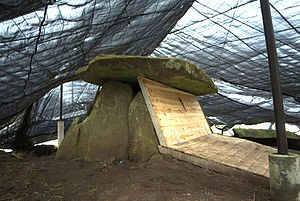 Vista do Dolmen de Dombate.