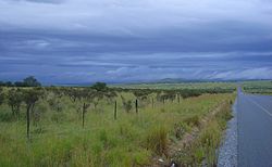 Landscape near Middledrift