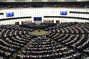 Unionens två lagstiftande institutioner: Europaparlamentet och Europeiska unionens råd. Parlamentet är direktvalt medan rådet företräder medlemsstaternas regeringar.