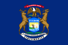 Michigan state flag image