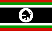 南蘇丹國防軍（民兵）（英語：South Sudan Defence Forces (militia)）旗幟