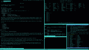 분할 화면으로 표시되고 있는 GNU Screen