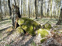 Polygonaldolmen von Lexow