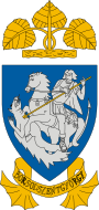 Wappen von Borsodszentgyörgy
