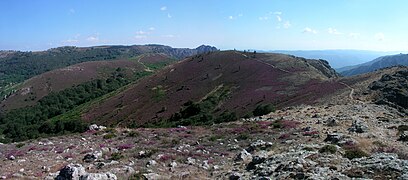 Montagne d'Aret (Rosis,Hérault).