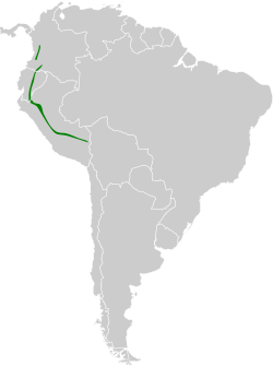 Distribución geográfica del tiluchí pechiamarillo.