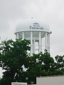 The iconic water tower in downtown's historic district.