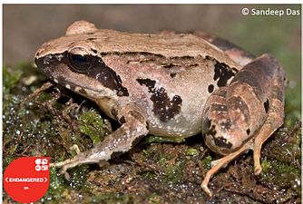 Lateral view