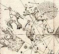 Pavo (kanan atas), dengan rasi bintang "burung-burung" lain di belahan langit selatan; penampilan pertama dalam suatu peta bintang, Uranometria karya Johann Bayer.
