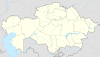 Altaileopard/Die wichtigsten Wildreservate der Erde - Nördliches Eurasien (Kasachstan)