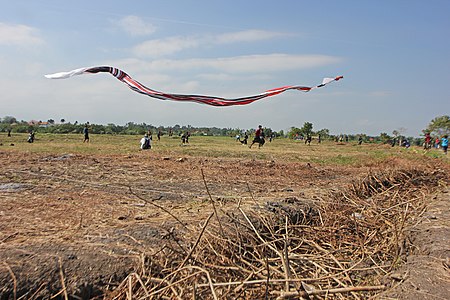 Layangan Janggan ring Bali kasub madué ikuh lantang.