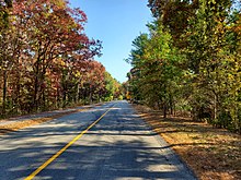 An empty straight paved road with a solid yellow line along the center, between large broadleaved trees