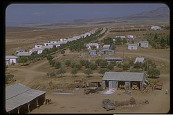 Vesnice Moledet na vysočině Ramat Moledet v 50. letech 20. století