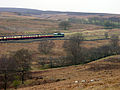 Экс-British Rail Class 25 с поездом (2004)