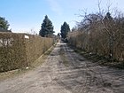 Blick in den Brunnenkresseweg von Ecke Frauenmantelweg