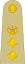 OF-5 Pakistan Army.svg