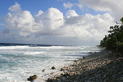 Ocean side of Funafuti atoll showing the storm dunes, the highest point on the atoll