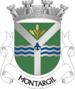 Vlag van Montargil