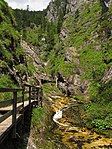 Wasserlochklamm, Palfau