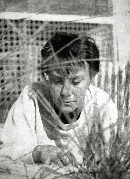 Portrait from the number one edition of To Kill the Mockingbird (1960) (photo by Truman Capote)