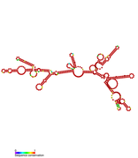 Listeria snRNA rli54: Predicted secondary structure taken from the Rfam database. Family RF01491.