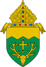 Римско-католическая епархия Берлингтона.svg