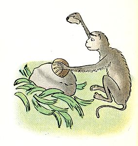 Le singe casse la coquille avec une pierre.