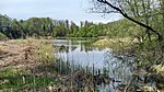 Teich bei St.Jakob am Thurn