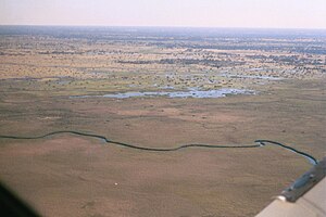 オカヴァンゴ川 2001年5月撮影