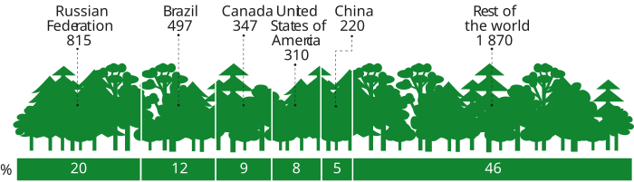 Päť najväčších krajín podľa rozlohy lesov, 2020 (milión ha)[2]