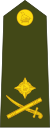 Зимбабве-Армия-OF-7.svg