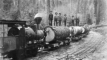 Betsy and a short log train