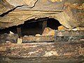 Staré důlní dílo, odkryté při ražbě nové štoly