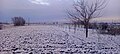 Зимове поле в Костичани