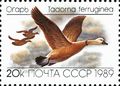 Миниатюра для версии от 13:16, 18 сентября 2007