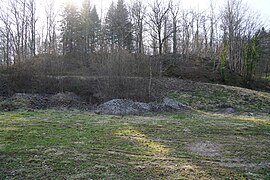 Un grand terril en lisière de forêt.