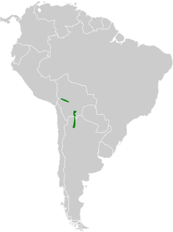 Distribución geográfica del canastero de Iquico.