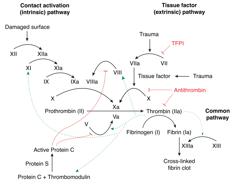 Descent With Modification