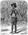Die Gartenlaube (1889) b 257_1.jpg Ein Mpangwe- oder Fanneger