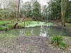 Eastern Road Nature Reserve