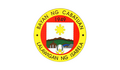 Flag of Cabatuan