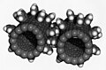 Image 12Computer simulation of nanogears made of fullerene molecules. It is hoped that advances in nanoscience will lead to machines working on the molecular scale. (from Condensed matter physics)
