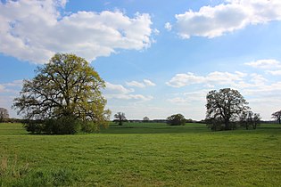 Wiesenlandschaft zwischen Goldberg und Steinbeck