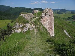 Hrad Kamenica